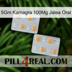 5Gm Kamagra 100Mg Oral Jelly 25